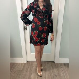 Rixo Floral Velvet Dress with Red and Green Accents